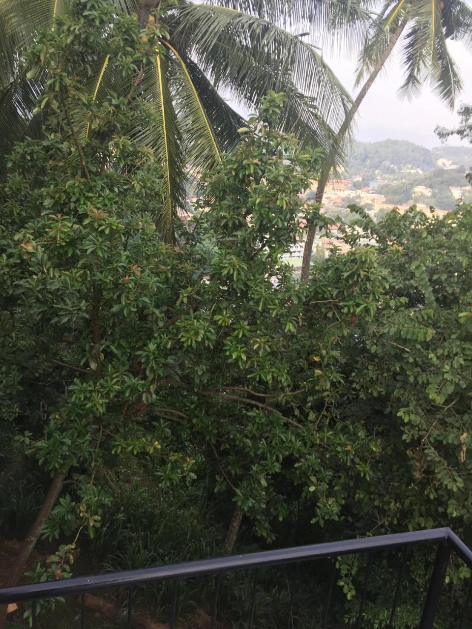 Upland Inn Kandy Extérieur photo
